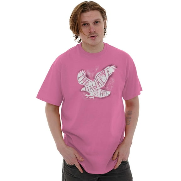 Hawkeye State Cool Stencil Iowa Hawk Plus Size Crewneck Graphic Tee Shirt Brisco Brands 2X