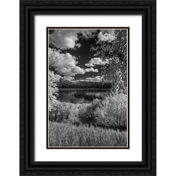 Hawkins, Peter 17x24 Black Ornate Wood Framed with Double Matting Museum Art Print Titled - USA-Minnesota-La Salle State Recreation area