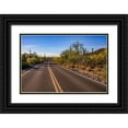 thumbnail image 1 of Hawkins, Peter 32x23 Black Ornate Wood Framed with Double Matting Museum Art Print Titled - Arizona-Tucson-Saguaro National Park, 1 of 4