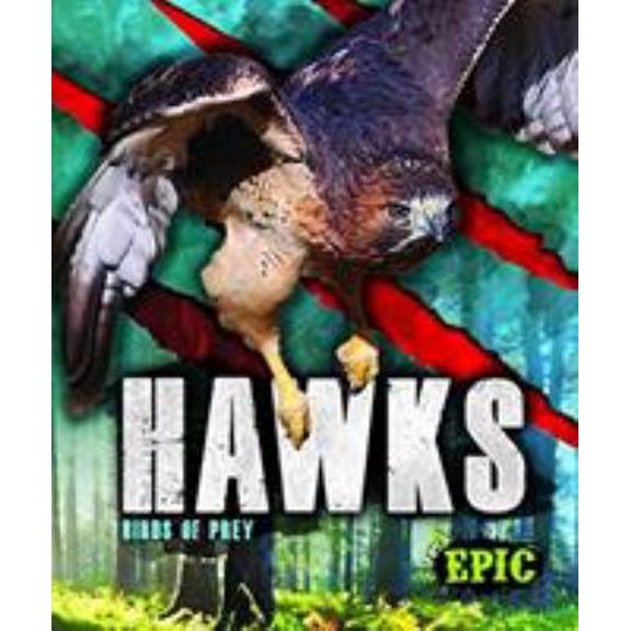 Pre-Owned Hawks: Birds of Prey (Library Binding) 1626178801 9781626178809