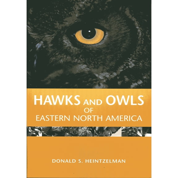 Hawks and Owls of Eastern North America (Hardcover)