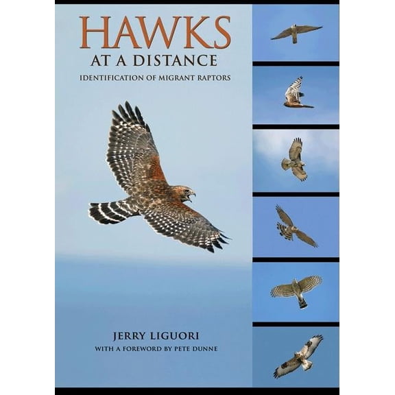 Hawks at a Distance: Identification of Migrant Raptors, (Paperback)