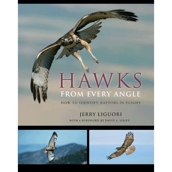 Hawks from Every Angle: How to Identify Raptors in Flight, (Paperback)