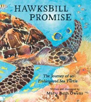 Pre-Owned Hawksbill Promise: The Journey of an Endangered Sea Turtle ...