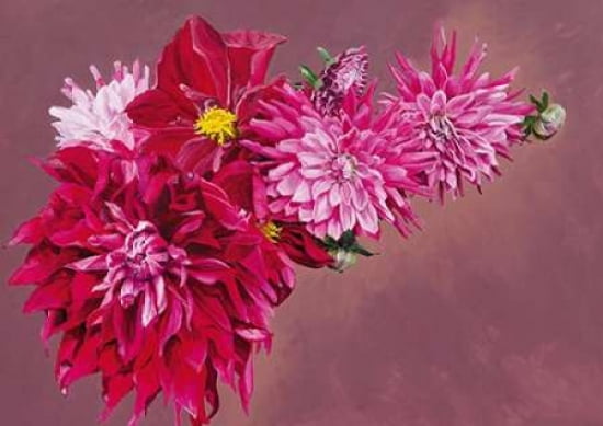 Haworth Fireworks Canvas Art - Sarah Caswell (20 x 28)