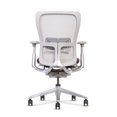 thumbnail image 1 of Restored Haworth Zody Chair - Advanced Dual Lumbar System with Individual Side Adjustment - Pelvic Support - 4D Armrests & Waterfall-Edge Seat - 12‑Year Warranty - White (Refurbished), 1 of 6