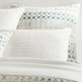 thumbnail image 1 of Hawthorn Neutral Pillow Sham, Euro Size, Ivory/Grey Floral Pattern, 1 of 7