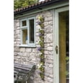 thumbnail image 1 of Haxnicks 50-1701 Tall Wall Plant Holder, 1 of 4