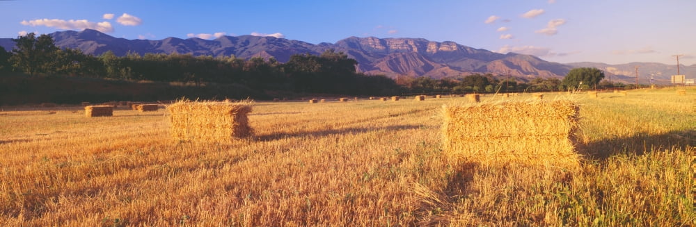 Hay Bails and Topa Topa Mountains Upper Ojai California Canvas Art - Panoramic Images (36 x 12)