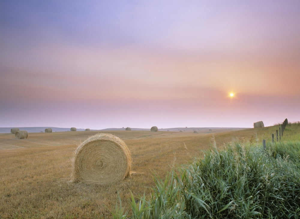 Hay Bales And Sunrise In Fog Near Cremona Alberta Canvas Art - Darwin Wiggett Design Pics (36 x 26)
