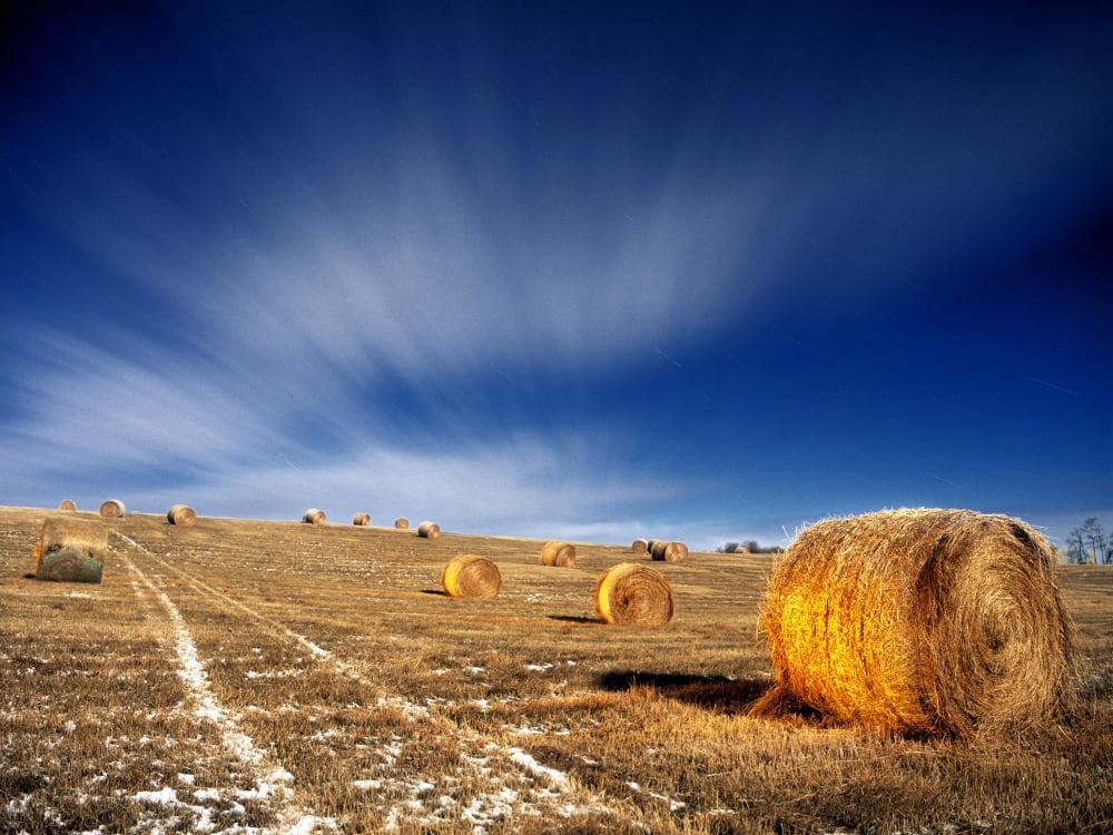 Hay Bales Lit With Flashlight Under Full Moon Light Water Valley Alberta Canada Canvas Art - Darwin Wiggett Design Pics (32 x 24)