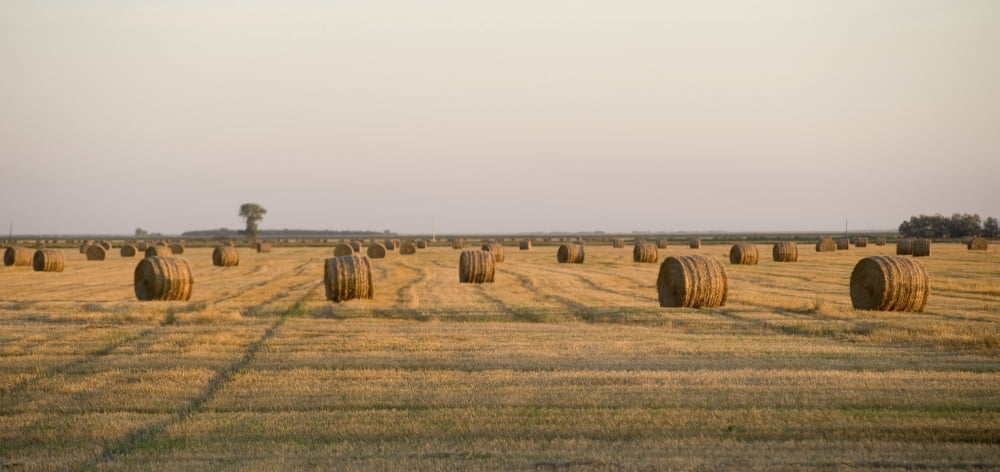 Hay Bales Manitoba Canada Canvas Art - Keith Levit Design Pics (28 x 13)