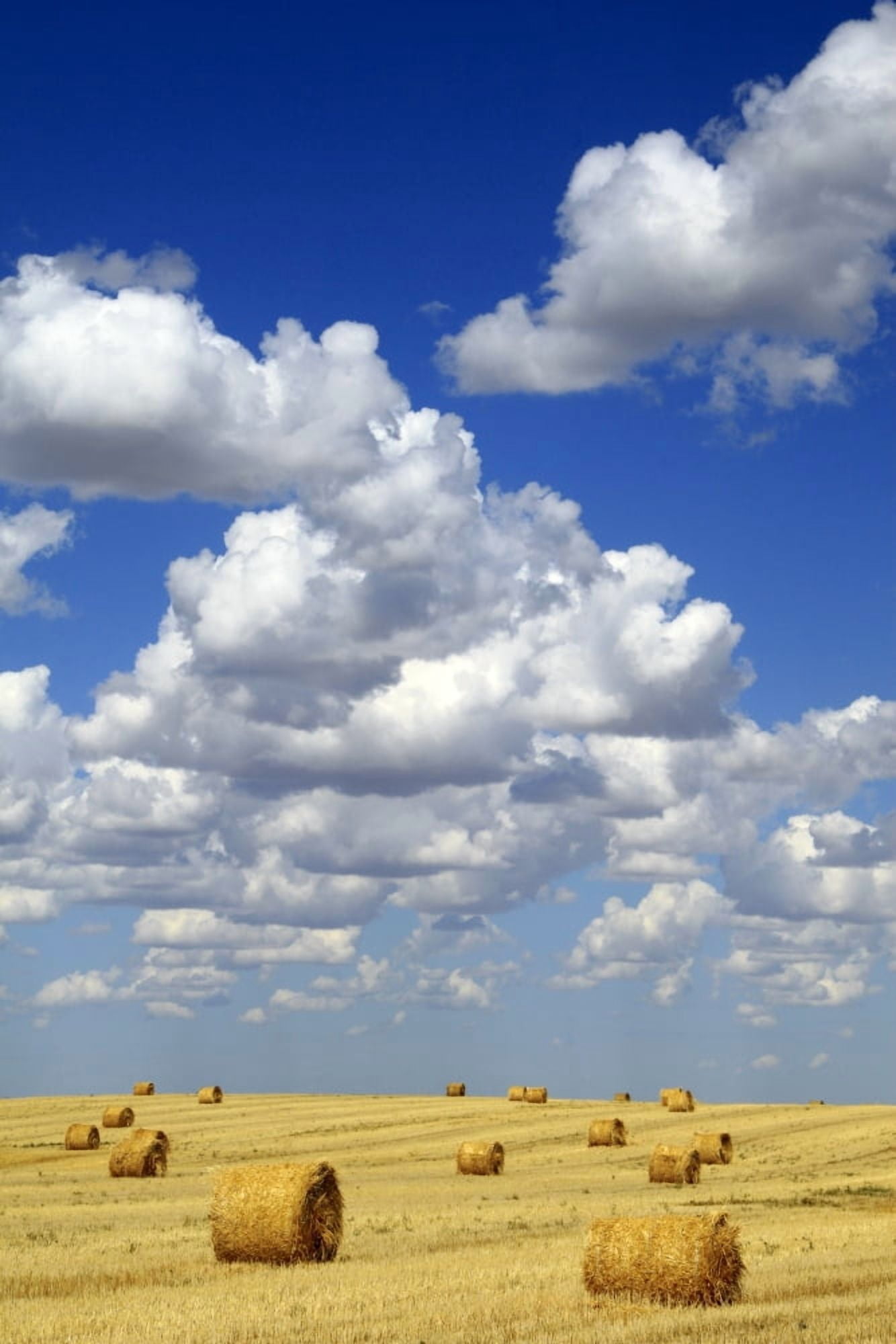 Hay Bales With White Clouds Canvas Art - Eryk Jaegermann Design Pics (22 x 34)