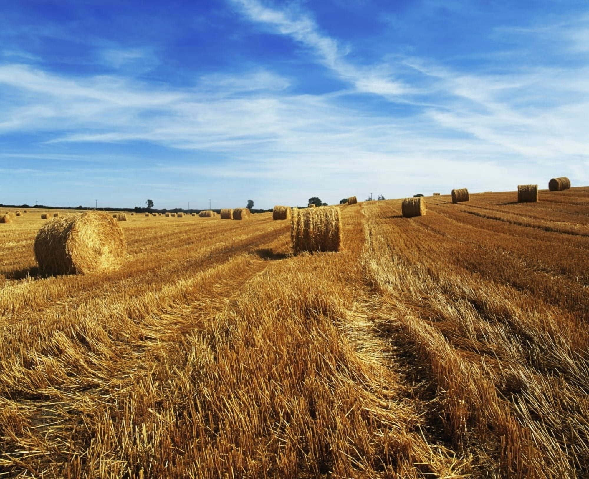 Hay Baling Canvas Art - The Irish Image Collection Design Pics (17 x 14)