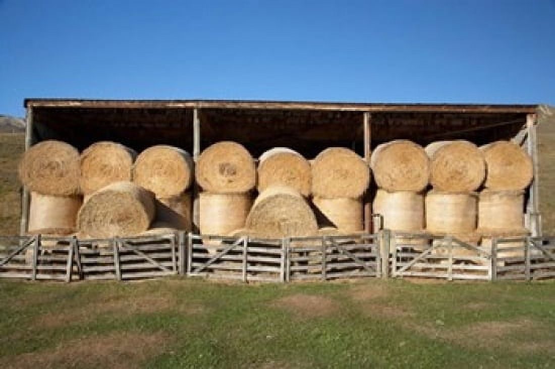 Hay Barn Ahuriri Valley North Otago South Island New Zealand Canvas Art - David Wall DanitaDelimont (34 x 23)
