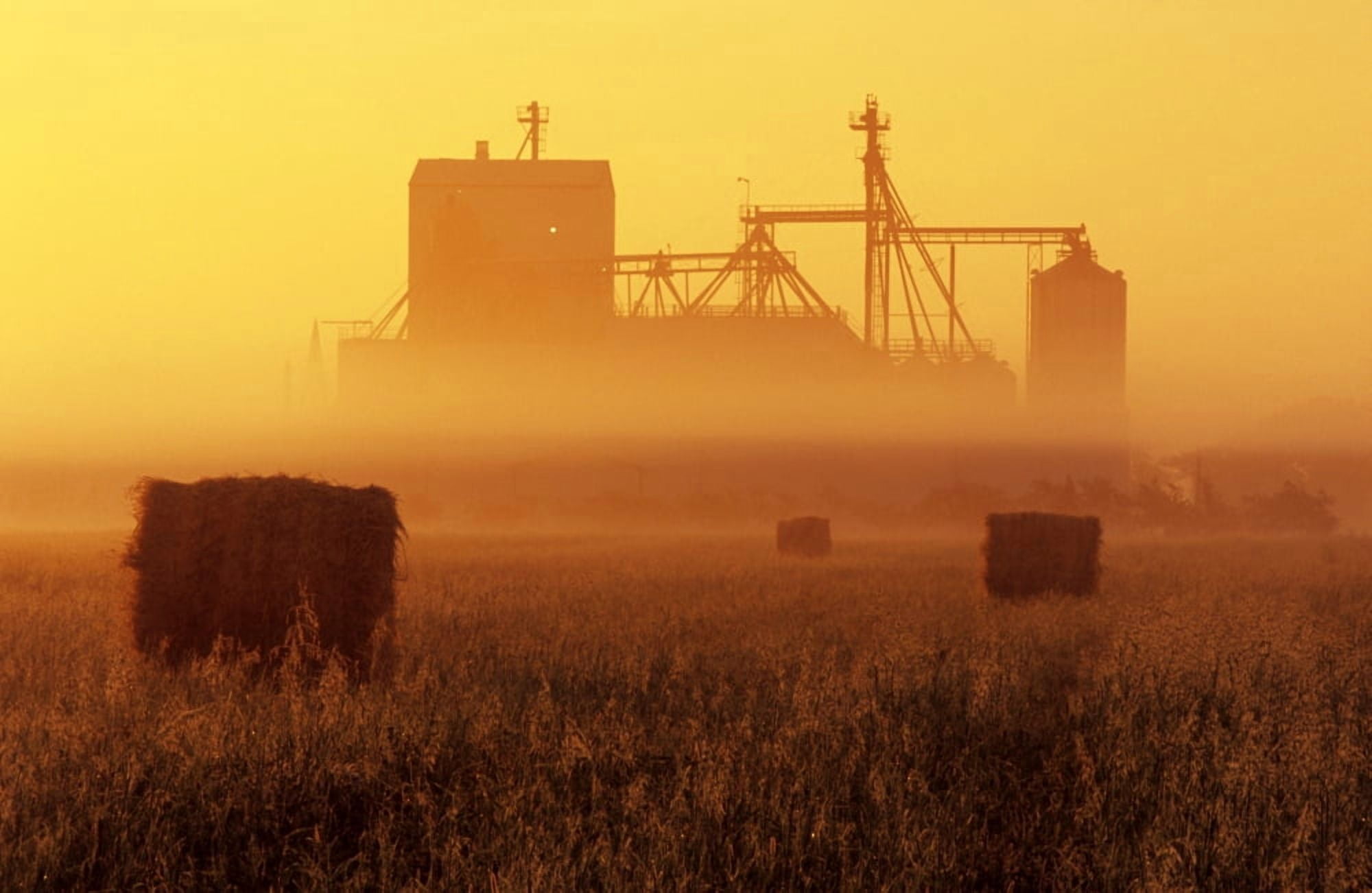 Hay Field And Feed Mill In Morning Fog Otterbourne Manitoba Canvas Art - Dave Reede Design Pics (17 x 11)