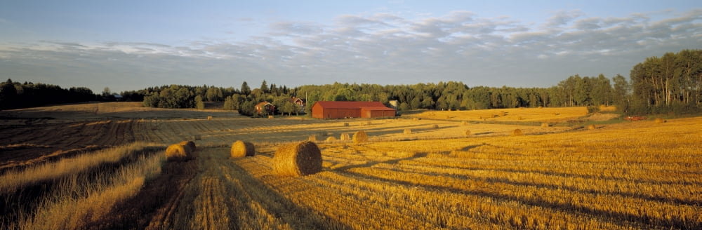 Hay Field Sweden Canvas Art - Panoramic Images (6 x 18)