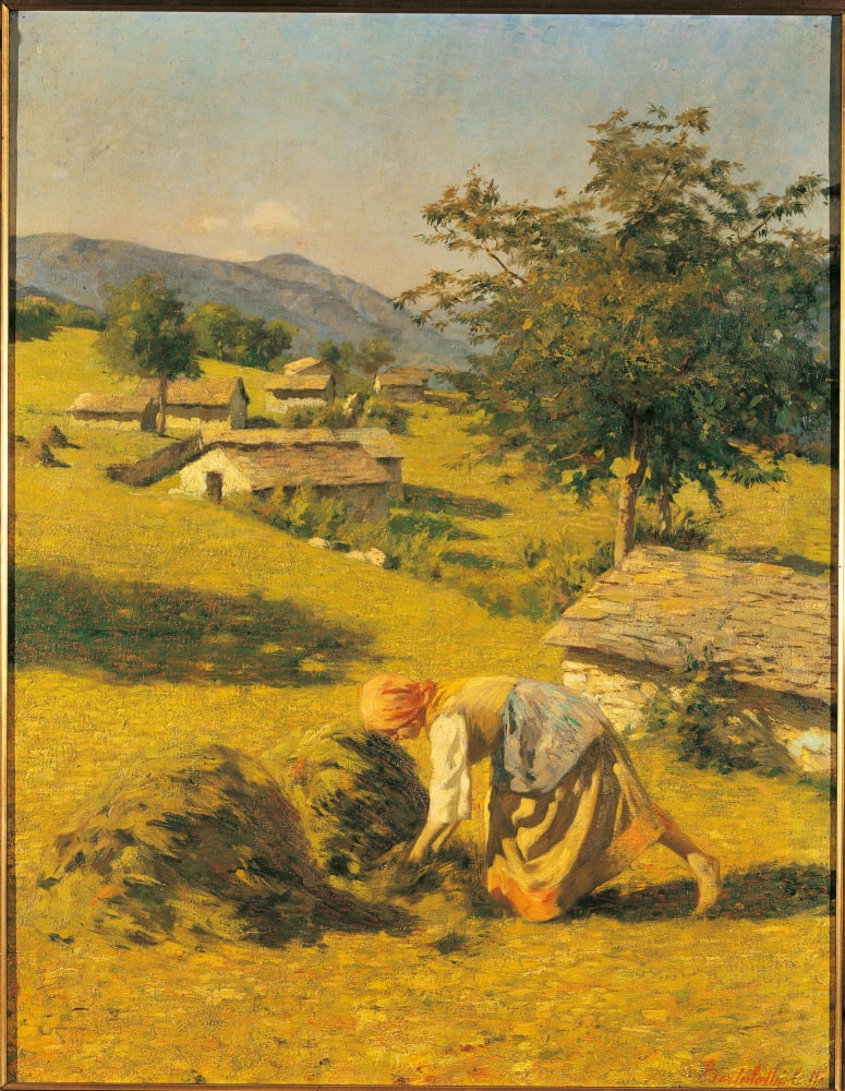Hay Harvesting Canvas Art - (24 x 36)