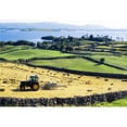 thumbnail image 1 of Hay Making  Lough Corrib  Co Galway  Ireland Poster Print, 1 of 2