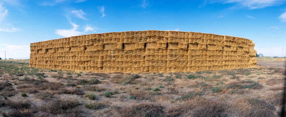 Hay Stacks Eastern Washington Canvas Art - Panoramic Images (27 x 9)