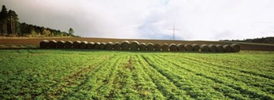 Hay bales in a farm land Germany Canvas Art - Panoramic Images (18 x 7)