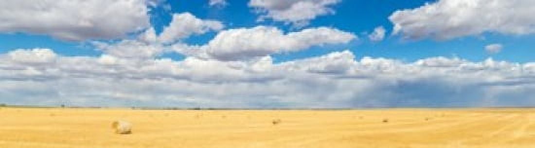Hay bales in a field Alberta Canada Canvas Art - Panoramic Images (42 x 12)