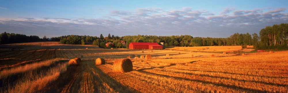 Hay bales in a field Flen Sodermanland County Sweden Canvas Art - Panoramic Images (6 x 18)