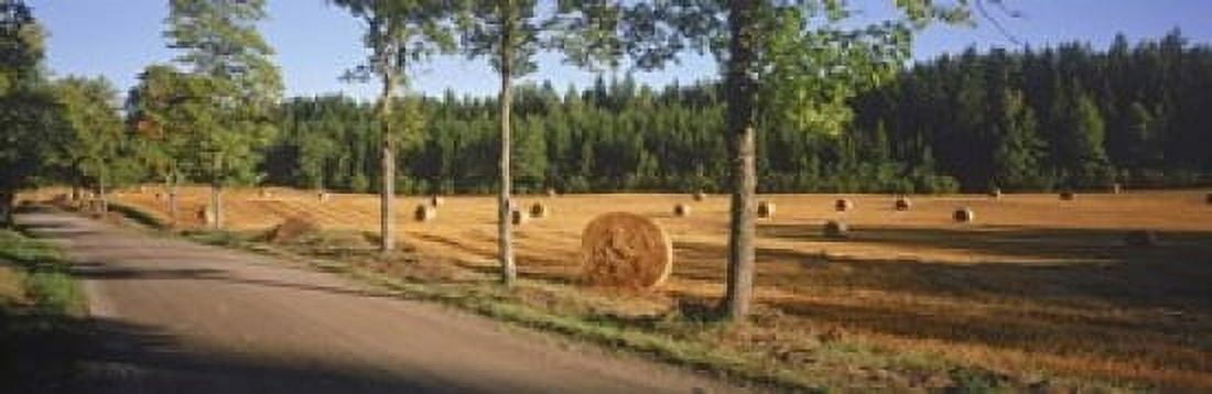 Hay bales in a field Flens Sweden Canvas Art - Panoramic Images (18 x 6)
