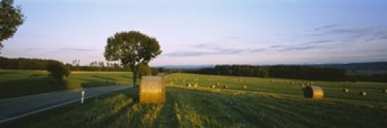 Hay bales in a field Germany Canvas Art - Panoramic Images (36 x 12)