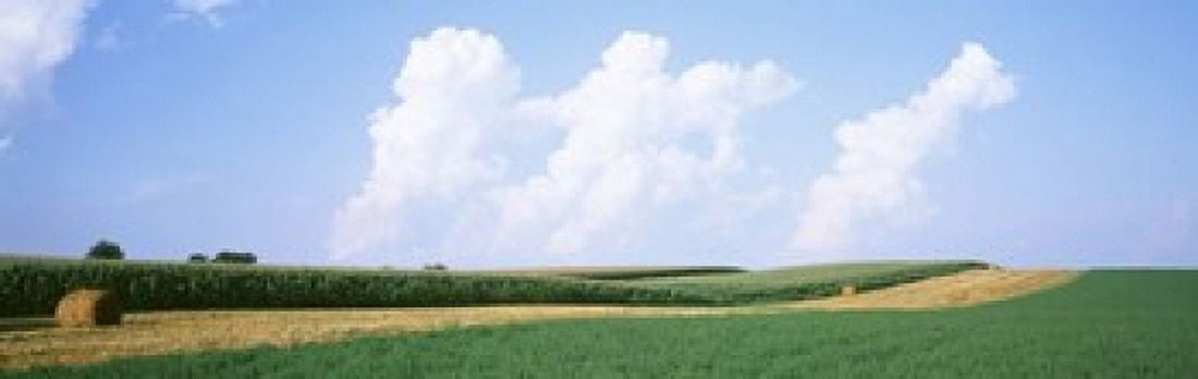 Hay bales in a field Jo Daviess county Illinois USA Canvas Art - Panoramic Images (18 x 6)