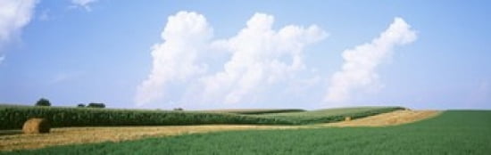 Hay bales in a field Jo Daviess county Illinois USA Canvas Art - Panoramic Images (36 x 12)