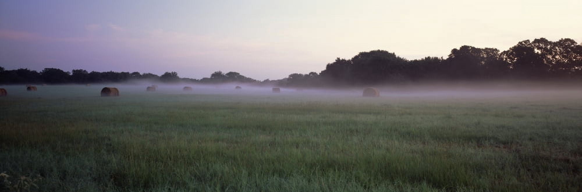 Hay bales in a field Texas USA Canvas Art - Panoramic Images (27 x 9)