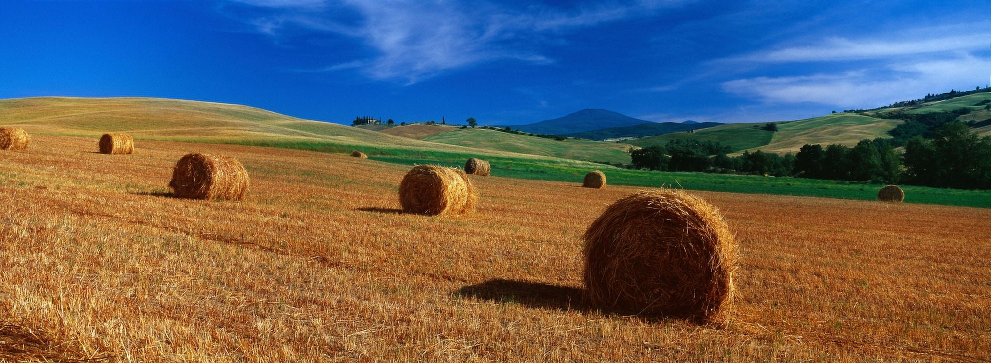 Hay bales in a field Val dOrcia Siena Province Tuscany Italy Canvas Art - Panoramic Images (27 x 9)
