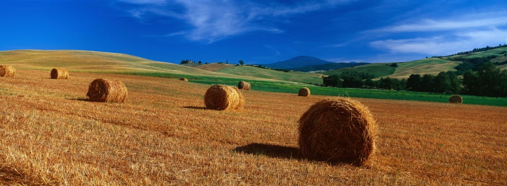 Hay bales in a field Val dOrcia Siena Province Tuscany Italy Canvas Art - Panoramic Images (36 x 12)