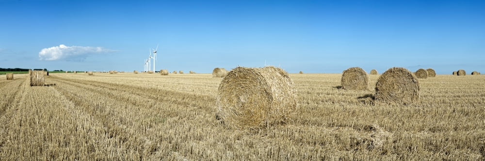 Hay bales in a field Veules-les-Roses Saint-Valery-en-Caux Blere Seine-Maritime Upper Normandy France Canvas Art - Panoramic Images (6 x 18)