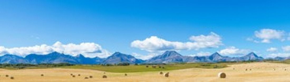 Hay bales in a field with Canadian Rockies in the background Alberta Canada Canvas Art - Panoramic Images (20 x 6)