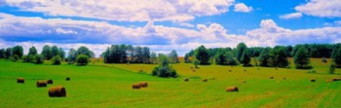 Hay bales in a landscape Michigan USA Canvas Art - Panoramic Images (36 x 12)