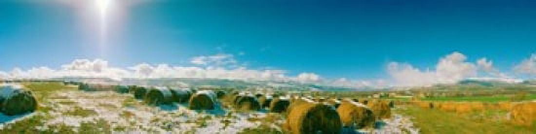 Hay field in snow Andorra Principality of Andorra Canvas Art - Panoramic Images (40 x 10)
