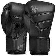 Hayabusa-T3-Kanpeki-Training-
