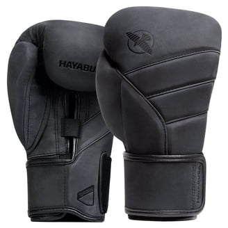 Hayabusa Boxing Gloves