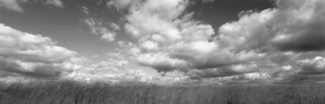 Hayden Prairie Iowa USA Canvas Art - Panoramic Images (36 x 12)