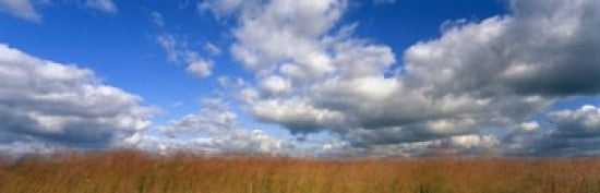 Hayden Prairie Iowa USA Canvas Art - Panoramic Images (36 x 12)