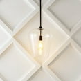 thumbnail image 1 of JONATHAN Y Hayes 11.25" 1-Light Industrial Farmhouse Iron/Glass LED Pendant, Oil Rubbed Bronze/Clear, 1 of 10