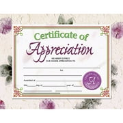 Hayes Certificate of Appreciation 8.5" x 11" Pack of 30 (H-VA614)