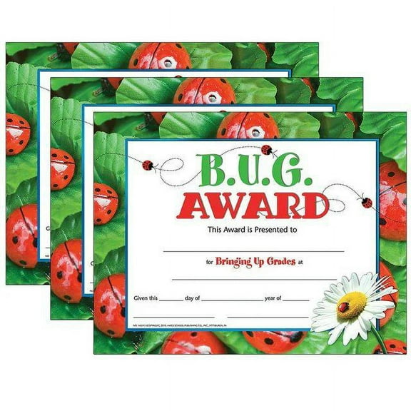 Hayes Publishing B.U.G. Award, 30 Per Pack, 3 Packs