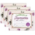 thumbnail image 1 of Hayes Publishing Certificate of Appreciation, 30 Per Pack, 3 Packs, 1 of 2