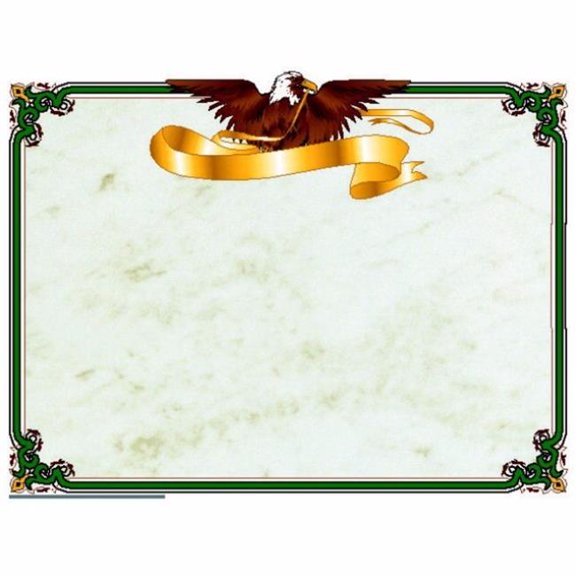 Hayes Publishing Eagle Border Paper, 8.5" x 11", Pack of 50