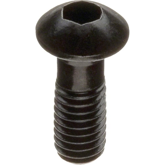 Hayes Stroker Trail/Carbon Caliper Banjo Bolt