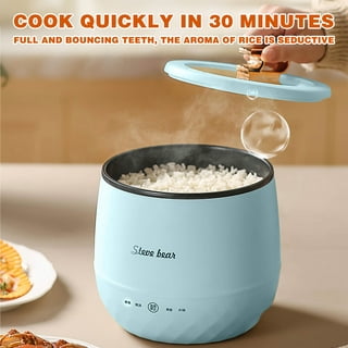 Portable Household Multi function Electric Cooker Electric - Temu