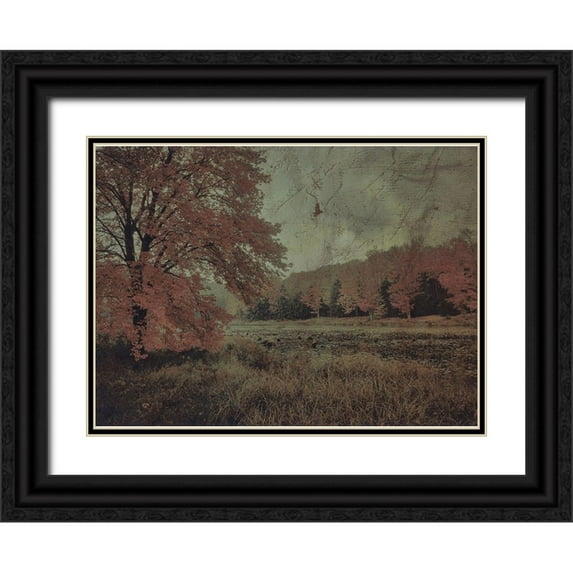 Haynes, Smith 14x11 Black Ornate Wood Framed with Double Matting Museum Art Print Titled - Fall In The Mist